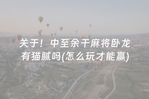 玩家必看教程！“微乐福建麻将提高胜率”（详细开挂教程）-哔哩哔哩