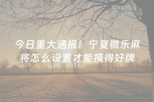 今日重大通报！宁夏微乐麻将怎么设置才能摸得好牌(自建房怎么赢)