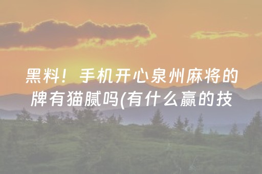 玩家必看教程！“雀神广东麻将助赢神器”（详细透视教程）-哔哩哔哩