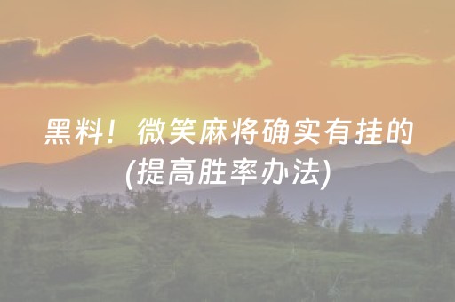 3分钟学会“最新麻将黑科技设备（专用辅牌神器免安装）
