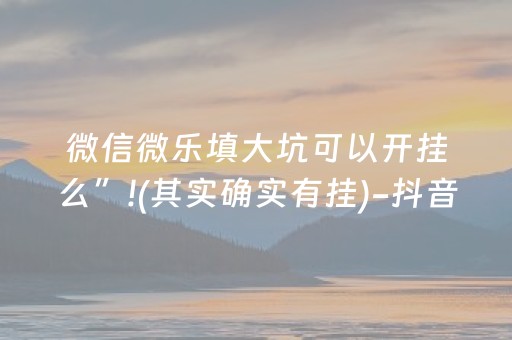 玩家必看攻略“套飞针程序多少钱（专用辅牌神器免安装）