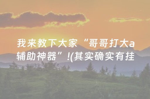 我来教下大家“哥哥打大a辅助神器”!(其实确实有挂)-抖音