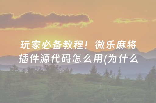 玩家必备教程！微乐麻将插件源代码怎么用(为什么老是输呢)