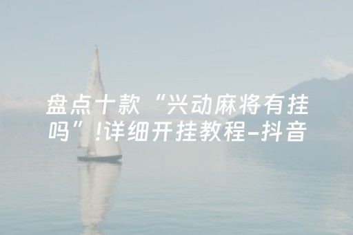 实测辅助“兴动互娱辅助器下载（专用辅牌神器免安装）