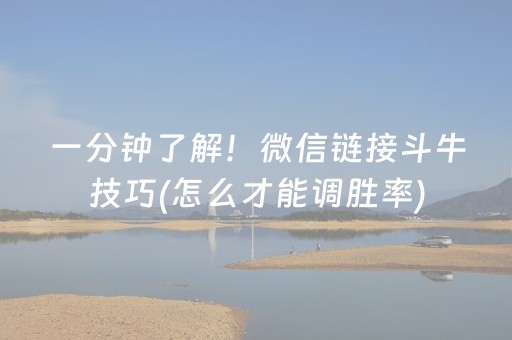 实测辅助“微乐山东麻将助手神器（助赢神器通用版）