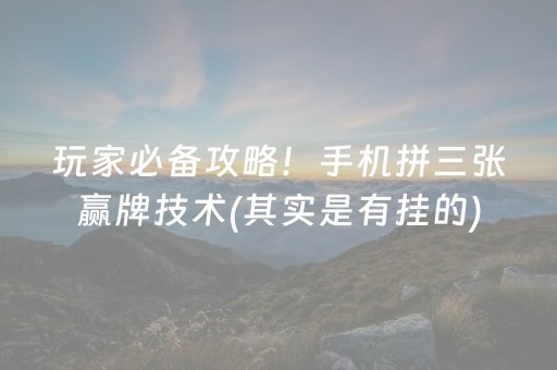 玩家必备教程“麻将机装程序怎么查出来（专用辅牌神器免安装）