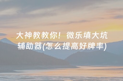 大神教教你！微乐填大坑辅助器(怎么提高好牌率)
