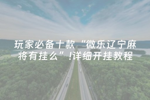 玩家必备十款“微乐辽宁麻将有挂么”!详细开挂教程-抖音