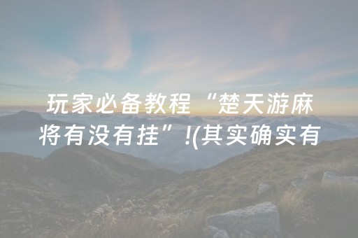 玩家实测“小程序广东雀神辅助器（助赢神器通用版）