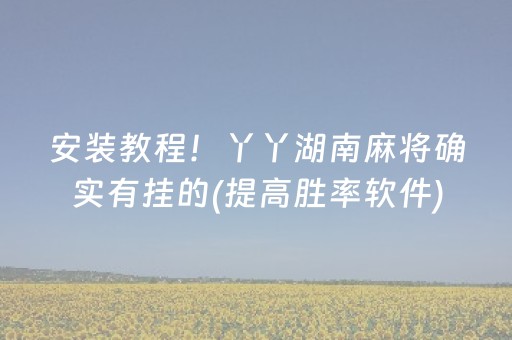 安装教程！丫丫湖南麻将确实有挂的(提高胜率软件)