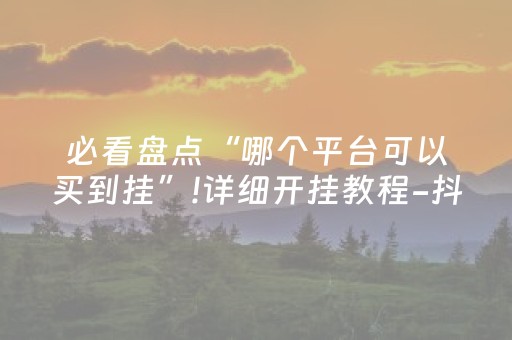 玩家必看攻略“今日花牌辅助器免费（助赢神器通用版）