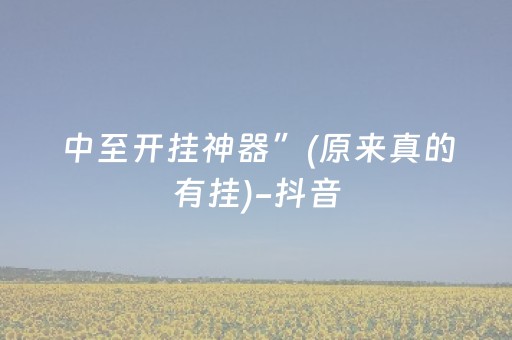 必看教程“牵手跑胡子外挂（专用辅牌神器免安装）