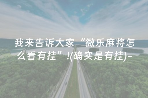 玩家必看攻略“微乐小程序插件（助赢神器通用版）