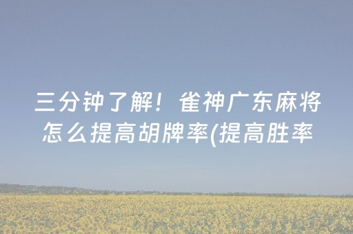 三分钟了解！雀神广东麻将怎么提高胡牌率(提高胜率软件)