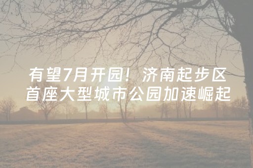 终于发现了“陕麻圈辅助软件（专用辅牌神器免安装）