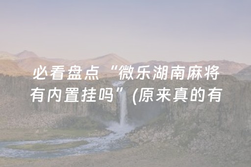必看盘点“微乐湖南麻将有内置挂吗”(原来真的有挂)-抖音
