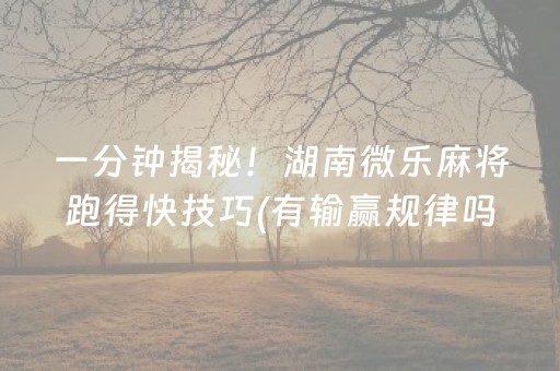 一分钟揭秘！湖南微乐麻将跑得快技巧(有输赢规律吗)
