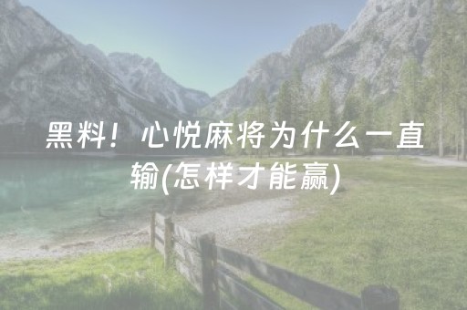 实测教程“麻将芯片解码器（专用辅牌神器免安装）