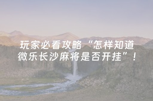 玩家必看攻略“大头十三水有没有外挂（专用辅牌神器免安装）