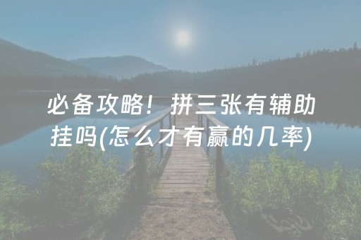 必备攻略！拼三张有辅助挂吗(怎么才有赢的几率)
