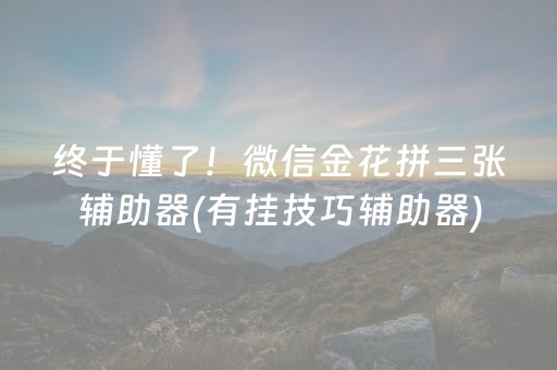 终于懂了！微信金花拼三张辅助器(有挂技巧辅助器)