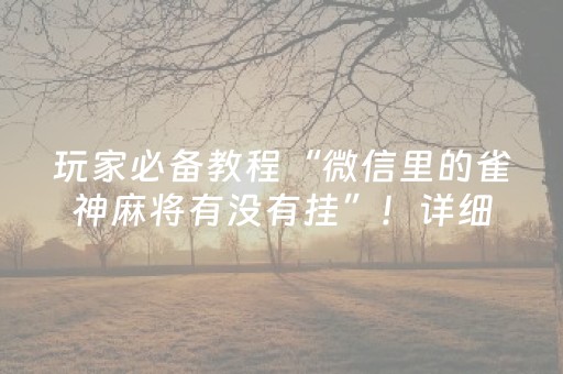 玩家必备教程“微信里的雀神麻将有没有挂”！详细开挂教程（确实真的有挂)-抖音