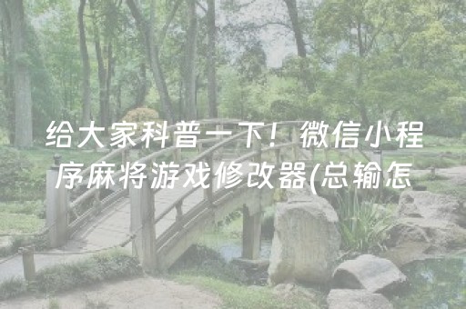 给大家科普一下！微信小程序麻将游戏修改器(总输怎么回事)