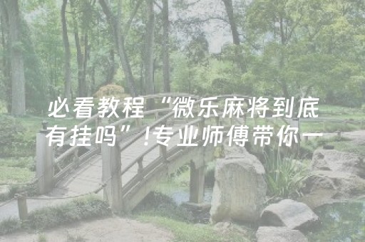 必看教程“微乐麻将到底有挂吗”!专业师傅带你一起了解（详细教程）-抖音