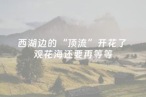 教程辅助“最先进的程序手机智能麻将机（专用辅牌神器免安装）