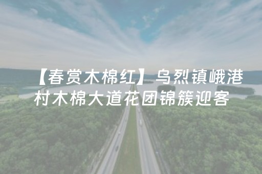 实测教程“套飞针程序多少钱（助赢神器通用版）