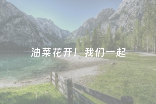 实测结果“微信微乐麻将助赢神器购买（专用辅牌神器免安装）