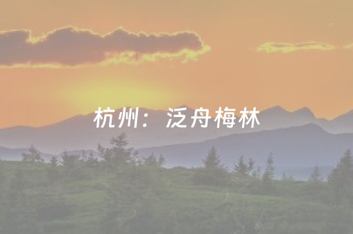 实测结果“中至跑得快辅助器免费版（专用辅牌神器免安装）