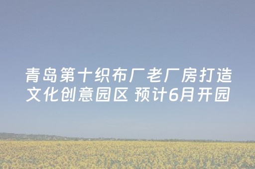 青岛第十织布厂老厂房打造文化创意园区 预计6月开园