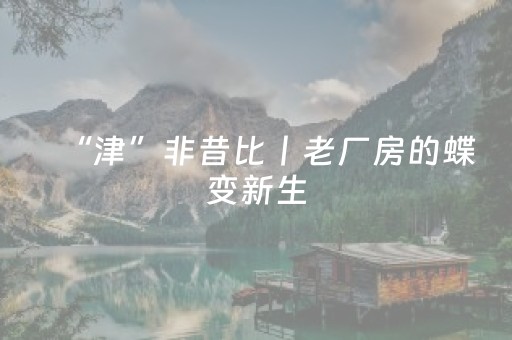 “津”非昔比丨老厂房的蝶变新生