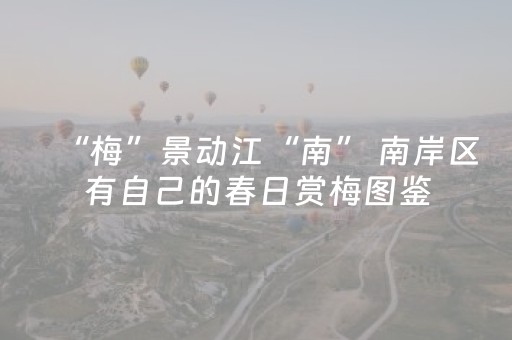 实测辅助“有没有可以能控制微信红包尾数大小的挂”（详细透视教程）-哔哩哔哩