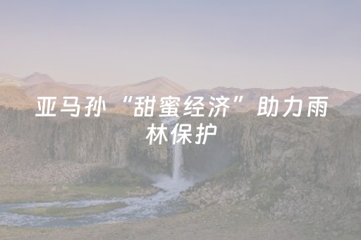 亚马孙“甜蜜经济”助力雨林保护