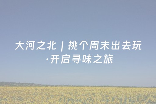 玩家必备教程“微乐河南麻将斗地主助赢神器购买（专用辅牌神器免安装）