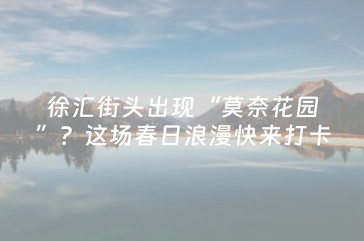 教程辅助“蜀山四川麻将有挂吗（专用辅牌神器免安装）