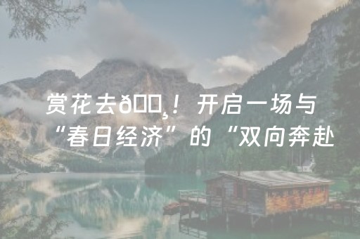 胜率设置方法“微信跑得快辅助神器（助赢神器通用版）