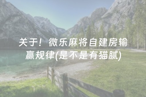 关于！微乐麻将自建房输赢规律(是不是有猫腻)