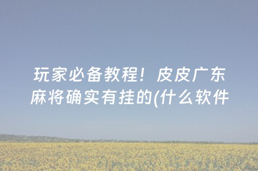 玩家必备教程！皮皮广东麻将确实有挂的(什么软件可以赢)