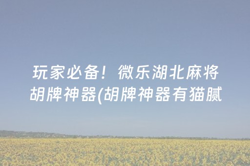 玩家必备！微乐湖北麻将胡牌神器(胡牌神器有猫腻吗)