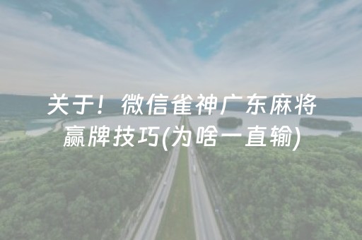 关于！微信雀神广东麻将赢牌技巧(为啥一直输)