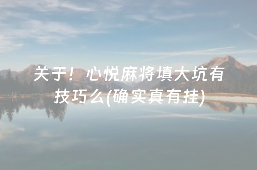 关于！心悦麻将填大坑有技巧么(确实真有挂)
