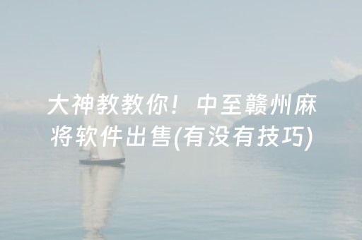 大神教教你！中至赣州麻将软件出售(有没有技巧)