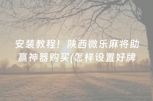 安装教程！陕西微乐麻将助赢神器购买(怎样设置好牌)