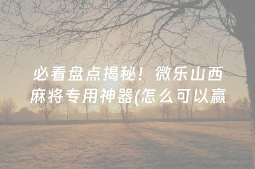 必看盘点揭秘！微乐山西麻将专用神器(怎么可以赢)