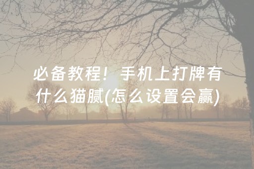 必备教程！手机上打牌有什么猫腻(怎么设置会赢)