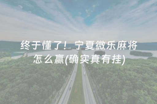 终于发现“九九山城麻将选牌器（助赢神器通用版）
