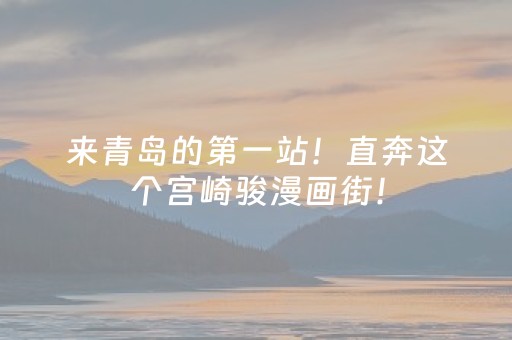 3分钟学会“手机十三张记牌工具（专用辅牌神器免安装）
